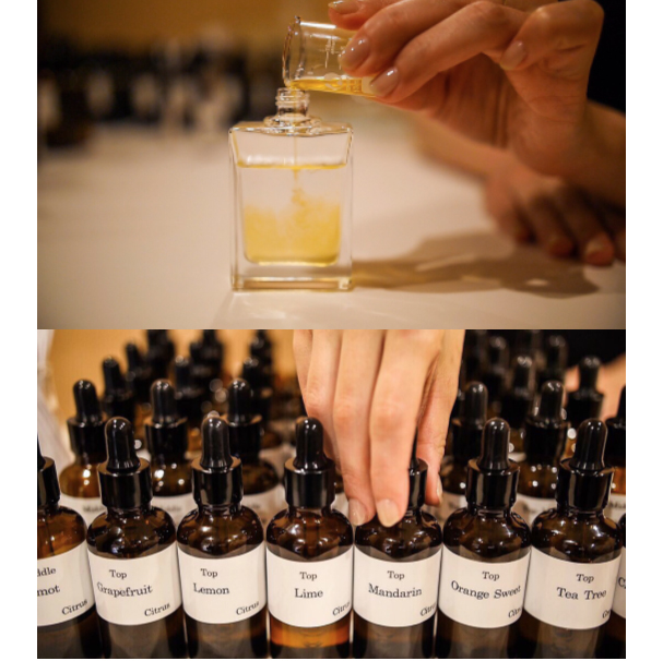 Qure aromablend | Original fragrance workshop