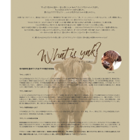 2023 Autumn&Winter TICCA Knit EXHIBITION